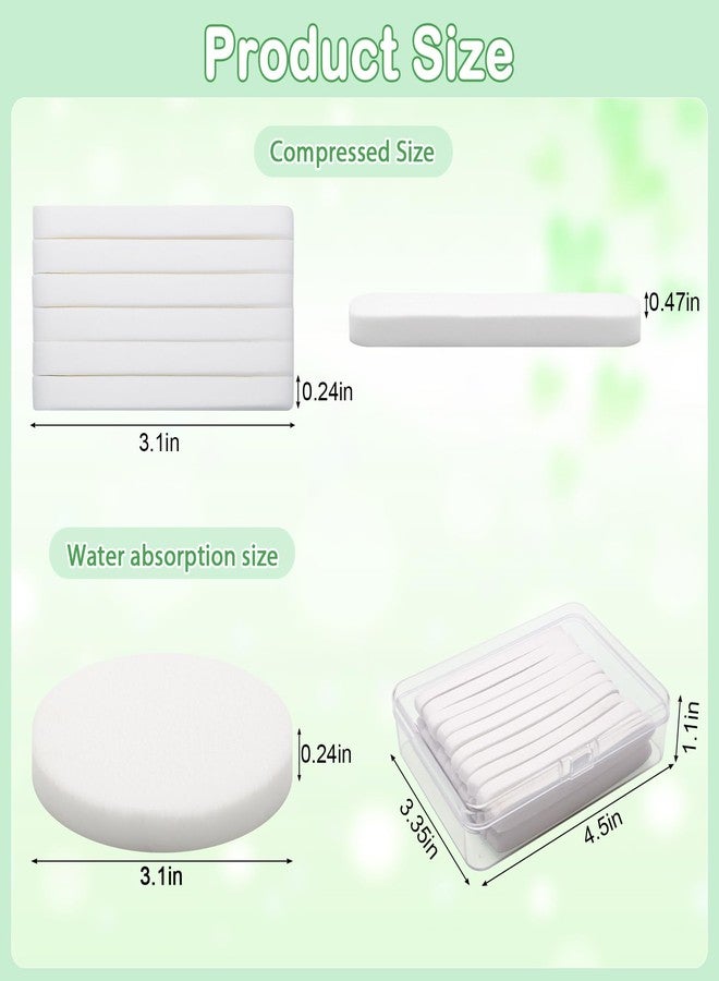 لوكسيف عبوة من 240+1 إسفنجة تنظيف الوجه البيضاء المضغوطة، إسفنجة تنظيف الوجه الدائرية المضغوطة من لوكسيف لأخصائيي التجميل، إسفنجة ناعمة مضغوطة للمكياج مع حقيبة سفر (3.1 بوصة، العدد، 240) - Image 2